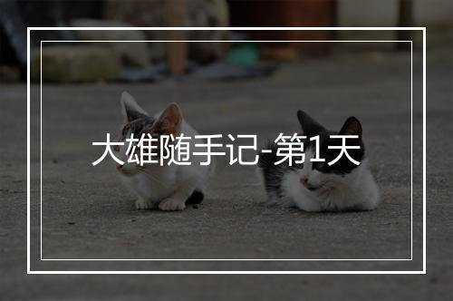 大雄随手记-第1天