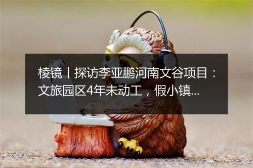 棱镜丨探访李亚鹏河南文谷项目:文旅园区4年未动工,假小镇真地产?