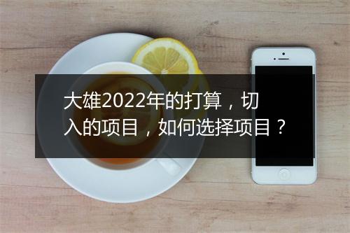 大雄2022年的打算,切入的项目,如何选择项目?