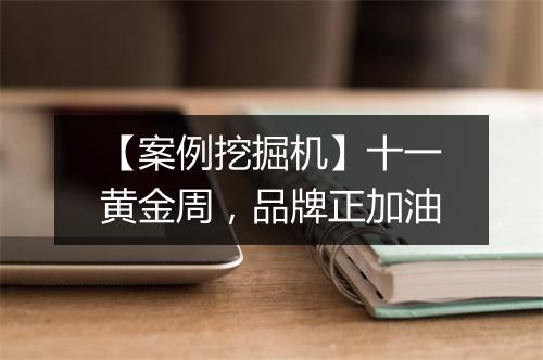 【案例挖掘机】十一黄金周,品牌正加油