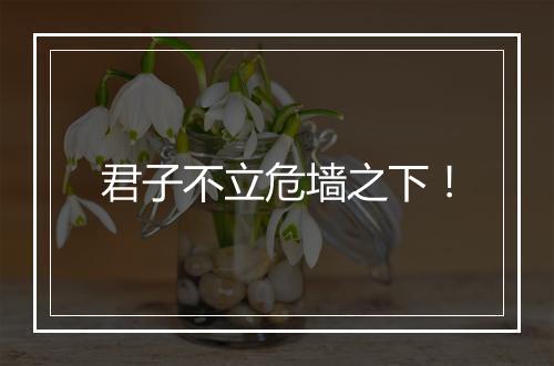 君子不立危墙之下!
