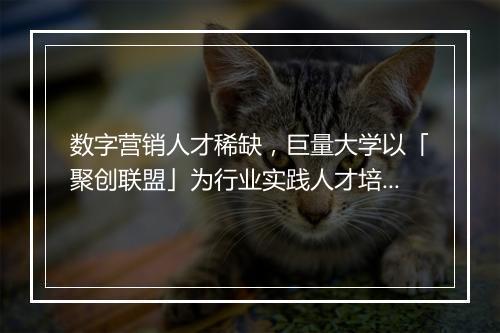 数字营销人才稀缺,巨量大学以「聚创联盟」为行业实践人才培育生态新模式