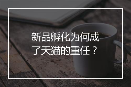 新品孵化为何成了天猫的重任?