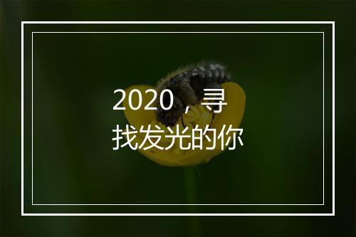 2020,寻找发光的你
