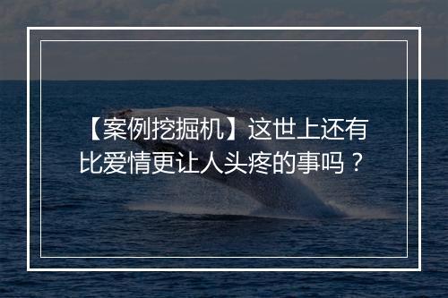 【案例挖掘机】这世上还有比爱情更让人头疼的事吗?