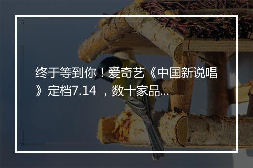 终于等到你!爱奇艺《中国新说唱》定档7.14 ,数十家品牌争相“pick”