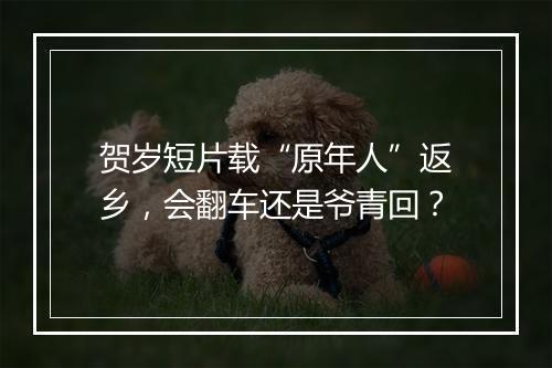 贺岁短片载“原年人”返乡,会翻车还是爷青回?
