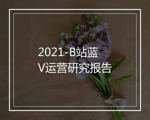 2021-B站蓝V运营研究报告