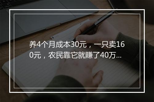 养4个月成本30元,一只卖160元,农民靠它就赚了40万!