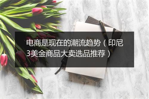 电商是现在的潮流趋势(印尼3美金商品大卖选品推荐)