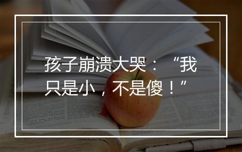 孩子崩溃大哭:“我只是小,不是傻!”