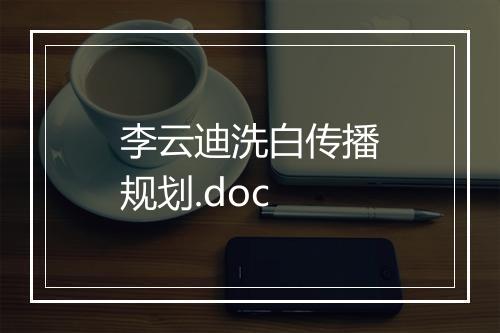 李云迪洗白传播规划.doc