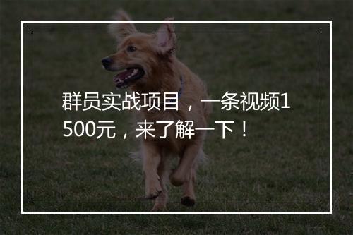群员实战项目,一条视频1500元,来了解一下!