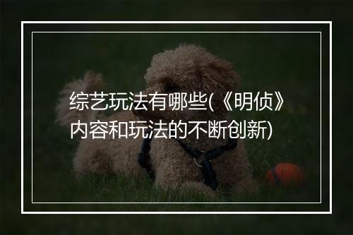 综艺玩法有哪些(《明侦》内容和玩法的不断创新)