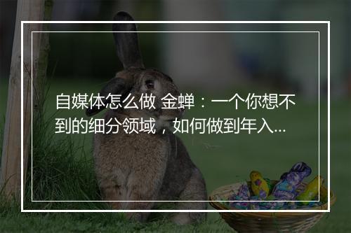 自媒体怎么做 金蝉:一个你想不到的细分领域,如何做到年入百万的?