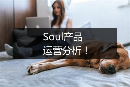 Soul产品运营分析!