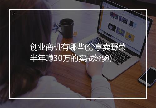 创业商机有哪些(分享卖野菜半年赚30万的实战经验)