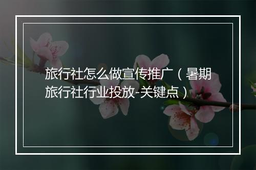 旅行社怎么做宣传推广(暑期旅行社行业投放-关键点)