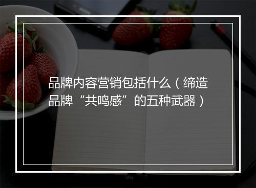 品牌内容营销包括什么(缔造品牌“共鸣感”的五种武器)