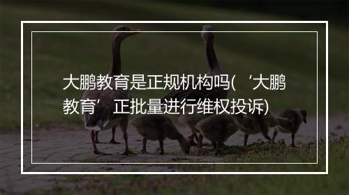 大鹏教育是正规机构吗(‘大鹏教育’正批量进行维权投诉)