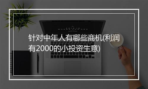 针对中年人有哪些商机(利润有2000的小投资生意)
