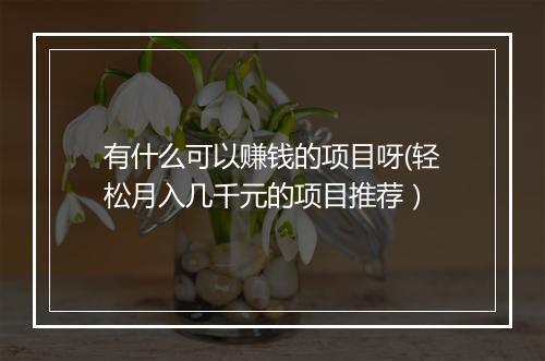 有什么可以赚钱的项目呀(轻松月入几千元的项目推荐)