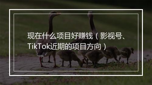现在什么项目好赚钱(影视号、TikTok近期的项目方向)