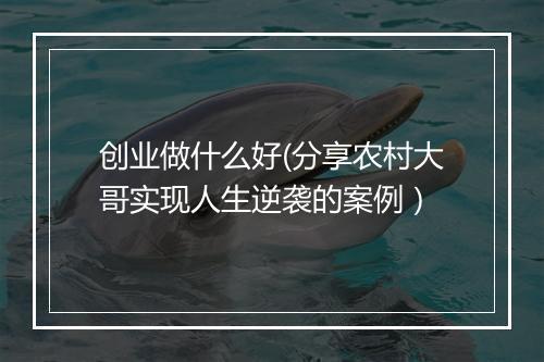 创业做什么好(分享农村大哥实现人生逆袭的案例)
