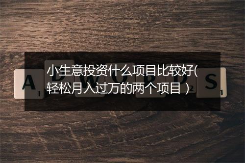 小生意投资什么项目比较好(轻松月入过万的两个项目)