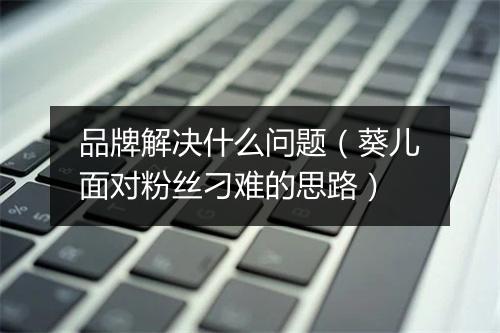 品牌解决什么问题(葵儿面对粉丝刁难的思路)