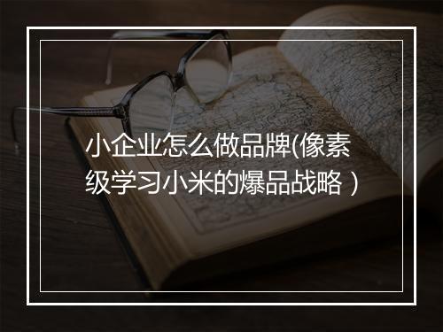 小企业怎么做品牌(像素级学习小米的爆品战略)