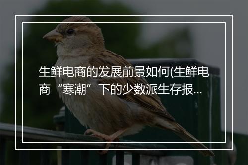 生鲜电商的发展前景如何(生鲜电商“寒潮”下的少数派生存报告)