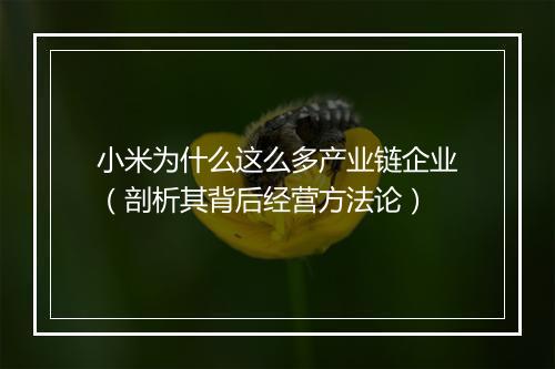 小米为什么这么多产业链企业(剖析其背后经营方法论)