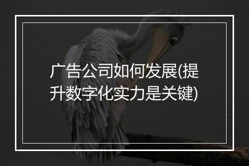 广告公司如何发展(提升数字化实力是关键)