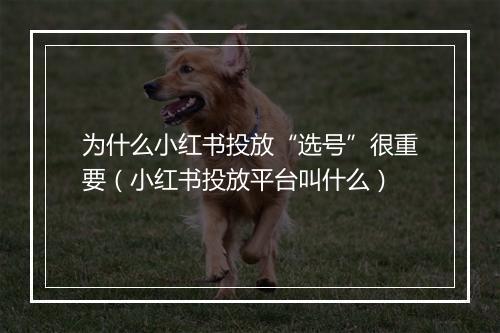 为什么小红书投放“选号”很重要(小红书投放平台叫什么)