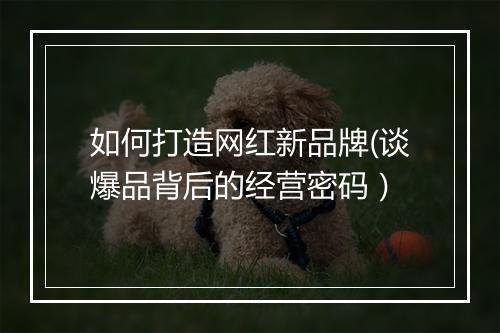 如何打造网红新品牌(谈爆品背后的经营密码)
