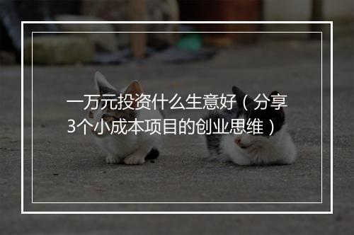 一万元投资什么生意好(分享3个小成本项目的创业思维)