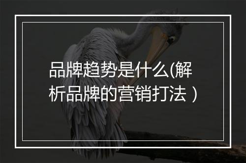 品牌趋势是什么(解析品牌的营销打法)