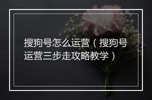 搜狗号怎么运营(搜狗号运营三步走攻略教学)