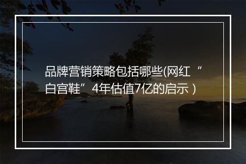 品牌营销策略包括哪些(网红“白宫鞋”4年估值7亿的启示)