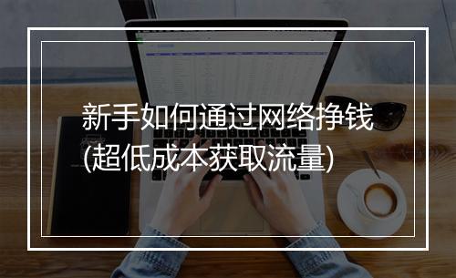 新手如何通过网络挣钱(超低成本获取流量)