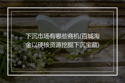 下沉市场有哪些商机(百城淘金以硬核资源挖掘下沉宝藏)