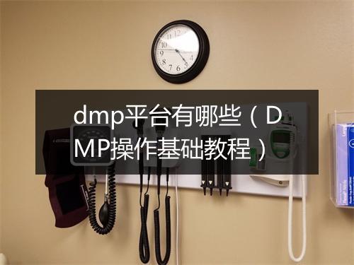 dmp平台有哪些(DMP操作基础教程)