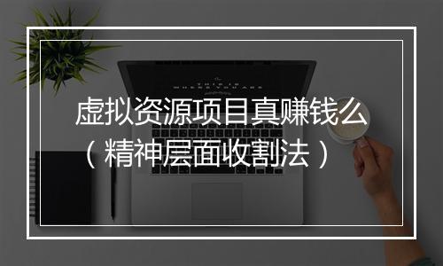 虚拟资源项目真赚钱么(精神层面收割法)