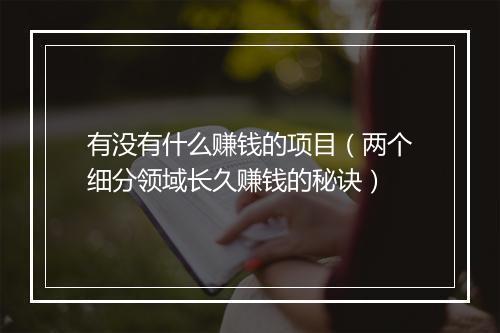 有没有什么赚钱的项目(两个细分领域长久赚钱的秘诀)