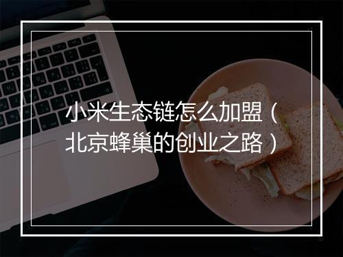 小米生态链怎么加盟(北京蜂巢的创业之路)