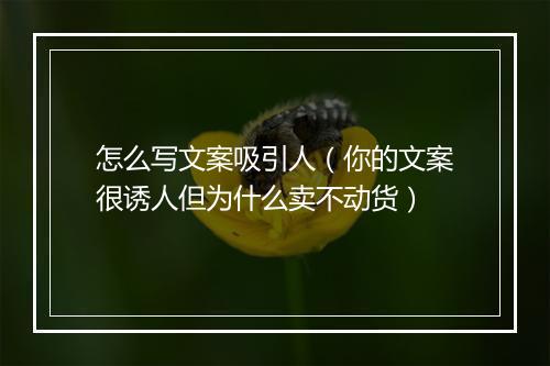 怎么写文案吸引人(你的文案很诱人但为什么卖不动货)