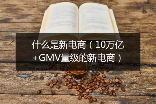 什么是新电商(10万亿+GMV量级的新电商)