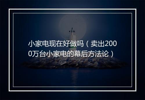 小家电现在好做吗(卖出2000万台小家电的幕后方法论)