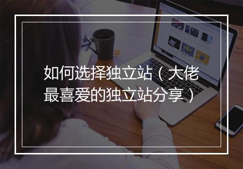 如何选择独立站(大佬最喜爱的独立站分享)